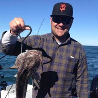 Redwood Electric Group Employee Dante Mutto's profile photo