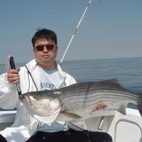 Chi Lee Email & Phone Number