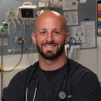 Michael Coletta Email