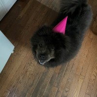 Arch Environmental Group, Inc. Employee Rick Sauve's profile photo