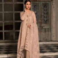 Muhammad Fareed Email