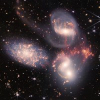 .IE Employee Dyson D's profile photo