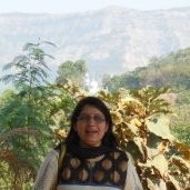 WYSE Biometrics Systems Pvt Ltd Employee Mrunalini Nisal's profile photo