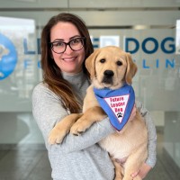 Leader Dogs for the Blind Employee Kathryn Sidelko's profile photo