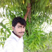 GUU Employee Sanwal Vohra's profile photo
