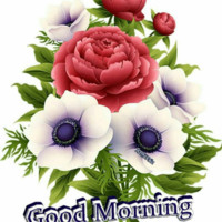 Athar Building&Development Employee Pawan Sharma's profile photo