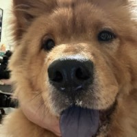 Meet Fresh Employee Kristin Rim's profile photo