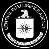 IDEKO Employee Cia Cia's profile photo