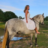Kristie Ashmore Email & Phone Number