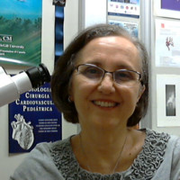 Vera Aiello Email