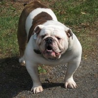 Max Hood Email & Phone Number
