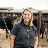 Meredith Harrison Email & Phone Number