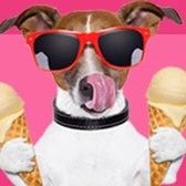 Caliche's Custard