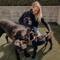 Destined Dogs Employee Delaney Brown's profile photo