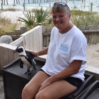 Sue Ryan Email & Phone Number