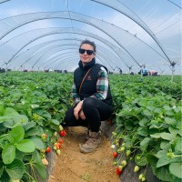 Rodanto Ltd Employee Yanitsa P.'s profile photo