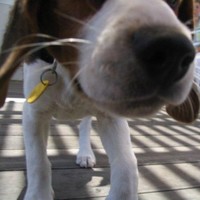 Central Coast College Employee Michelle Beagle's profile photo