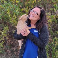 JN Training Employee Kelly Daniels's profile photo