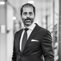Stefano Alecu Email & Phone Number