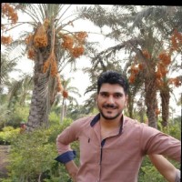 Royal Touch Landscaping Employee Mahmoud Sherif's profile photo