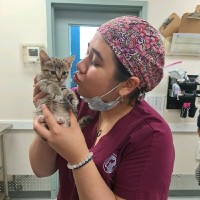 Central Toronto Veterinary Referral/Emergency Clinic Employee Grace Pimentel's profile photo