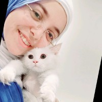 Nermin Nabil Email