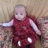 Majid Email