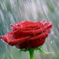 Vuclip Employee Anusha Duptala's profile photo