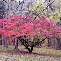 Steve Olson Email & Phone Number