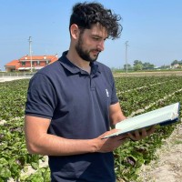 Bejo Italia Employee Giovanni Cagnano's profile photo