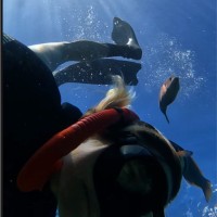EnviroStrat Employee Alison Smith's profile photo
