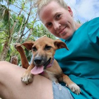 IVG Hospitals Employee Heidi Soffron's profile photo