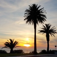 AltimateMedical Employee Lisa Cooper's profile photo