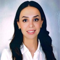 Merve Toplu Email