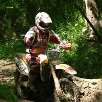 Frontline Systems Employee Kelly Fritchman's profile photo