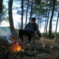 Mesut Yalçın Email