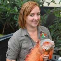Zoo Med Labs, Inc. Employee Ashley Rademacher's profile photo