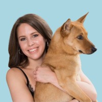Paws Abroad Employee Marisa Hoskins's profile photo