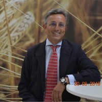 Malteurop Employee Carlos Álvarez Fernández's profile photo