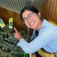 SmartPass Employee Ivy Tsang's profile photo