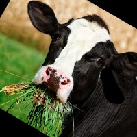 bytes at work AG Employee Guy M.'s profile photo