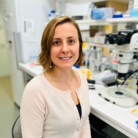 Karolinska Institutet Employee Elif Eroglu's profile photo