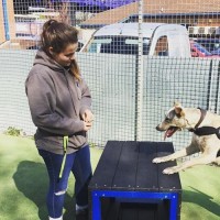 Pawshake Employee Stephanie Levins's profile photo