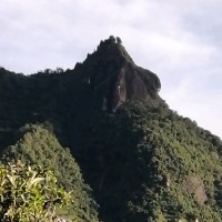 Gustavo Arrubla Fernandez Email