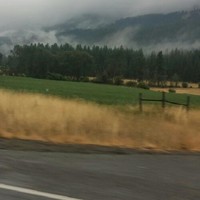 Tip Top Employee Carlos Perez's profile photo