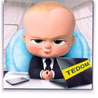 TEDOM Employee Jiří Klekner's profile photo