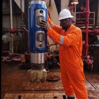 Segofs Energy Services Limited Employee Tobechukwu Ezegwuonwu's profile photo