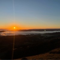 Pet Nanny Employee Sheng Ni's profile photo