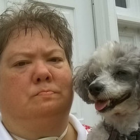 Lori Dimeo Email & Phone Number