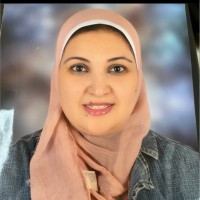 Sarah Raouf Email & Phone Number | PwC External financial auditor ...